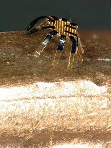 全球最小的遙控行走機(jī)器人誕生,用激光實(shí)現(xiàn)精準(zhǔn)運(yùn)動(dòng)控制